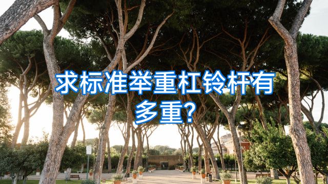 求标准举重杠铃杆有多重?