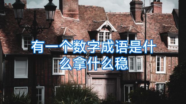 有一个数字成语是什么拿什么稳