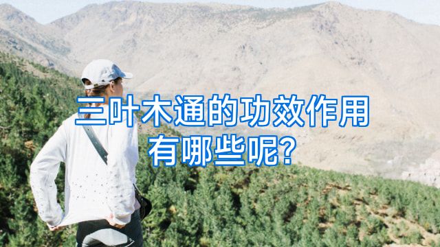 三叶木通的功效作用有哪些呢?