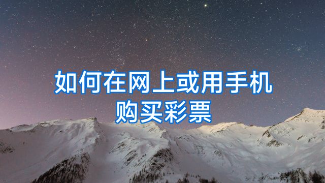 如何在网上或用手机购买彩票
