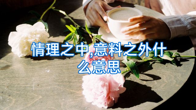情理之中,意料之外什么意思