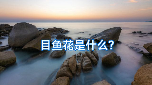 目鱼花是什么?