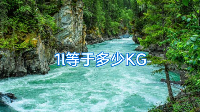 1l等于多少KG