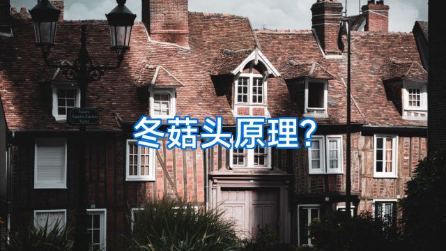 冬菇头原理?