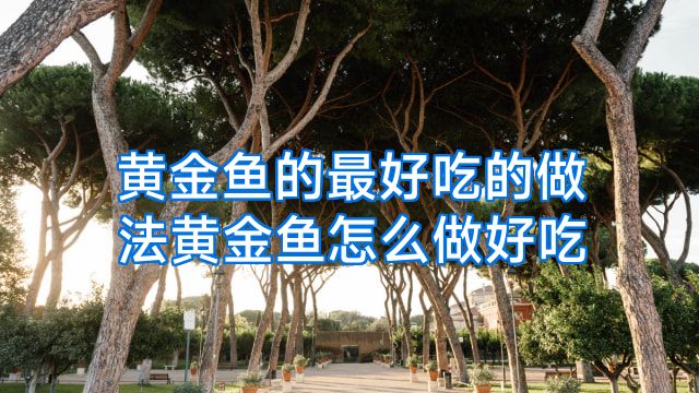 黄金鱼的最好吃的做法黄金鱼怎么做好吃