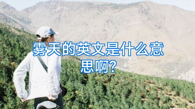 雾天的英文是什么意思啊?