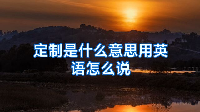 定制是什么意思用英语怎么说
