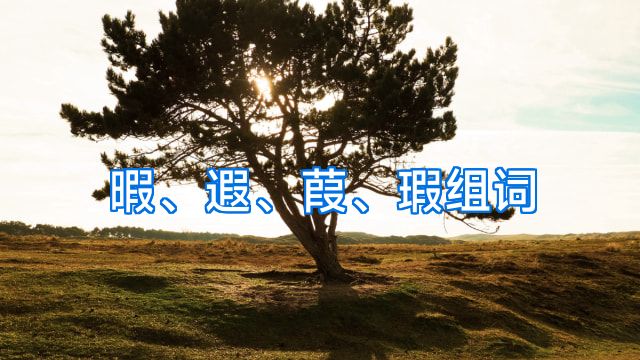 暇、遐、葭、瑕组词