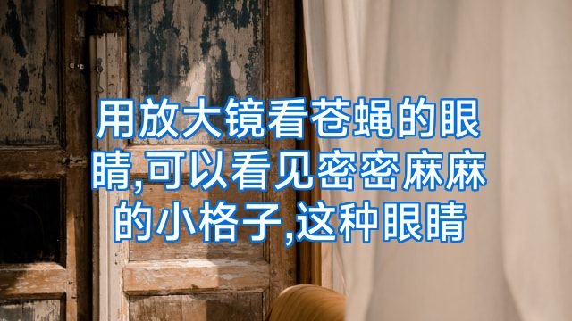 用放大镜看苍蝇的眼睛,可以看见密密麻麻的小格子,这种眼睛