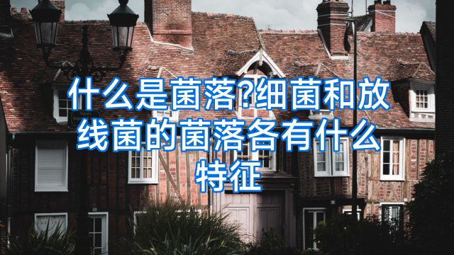 什么是菌落?细菌和放线菌的菌落各有什么特征