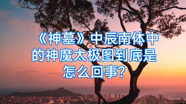 《神墓》中辰南体中的神魔太极图到底是怎么回事?