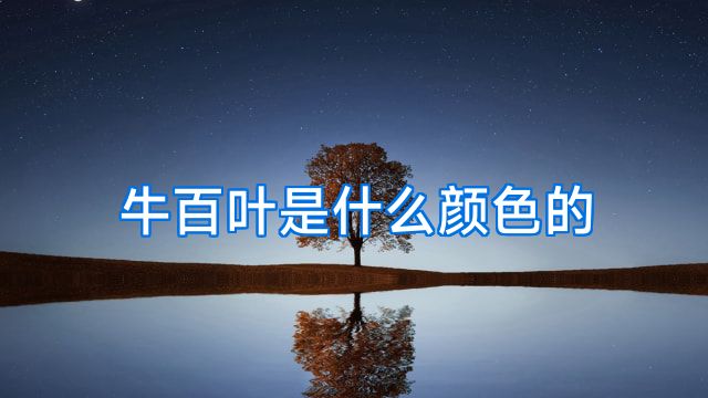 牛百叶是什么颜色的