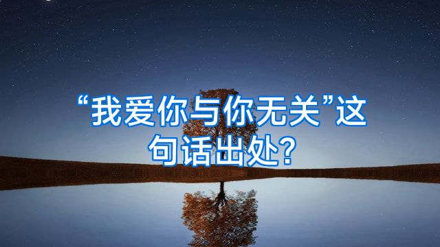 “我爱你与你无关”这句话出处?