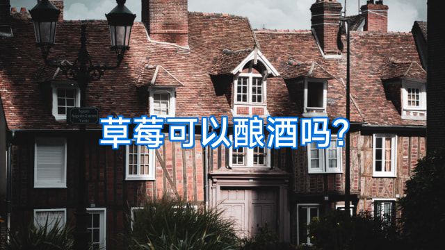 草莓可以酿酒吗?
