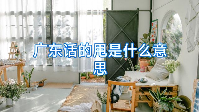 广东话的甩是什么意思