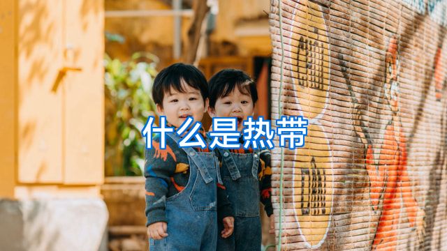 什么是热带
