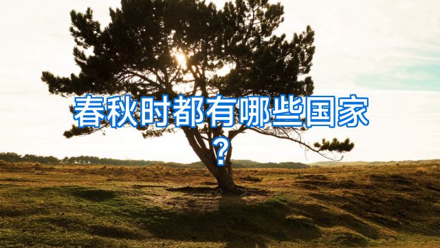 春秋时都有哪些国家?