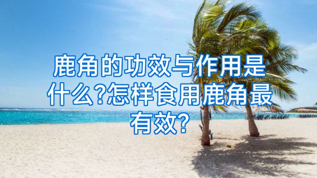 鹿角的功效与作用是什么?怎样食用鹿角最有效?