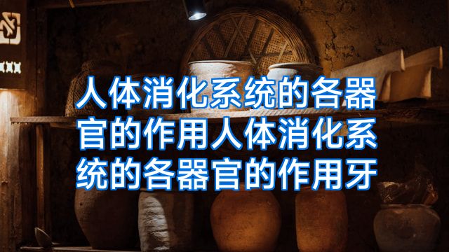 人体消化系统的各器官的作用人体消化系统的各器官的作用牙