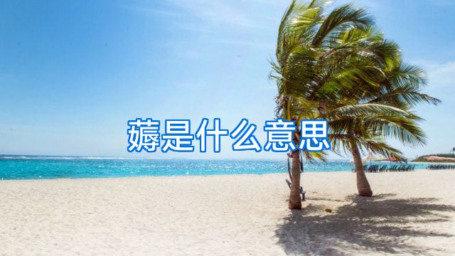 薅是什么意思