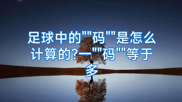 足球中的