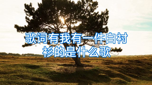 歌词有我有一件白衬衫的是什么歌