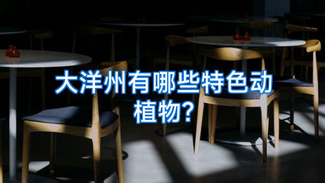 大洋州有哪些特色动植物?