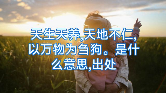 天生天养,天地不仁,以万物为刍狗。是什么意思,出处