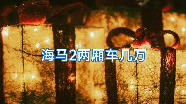 海马2两厢车几万