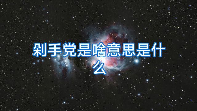 剁手党是啥意思是什么