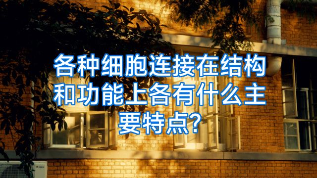 各种细胞连接在结构和功能上各有什么主要特点?
