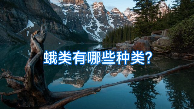 蛾类有哪些种类?