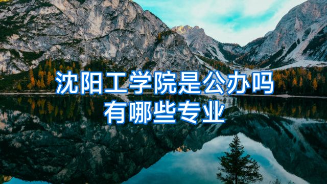 沈阳工学院是公办吗有哪些专业