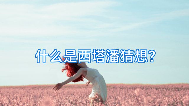 什么是西塔潘猜想?