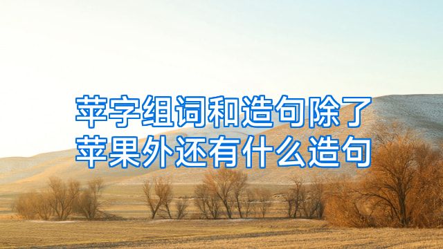 苹字组词和造句除了苹果外还有什么造句