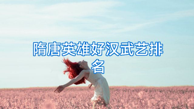 隋唐英雄好汉武艺排名