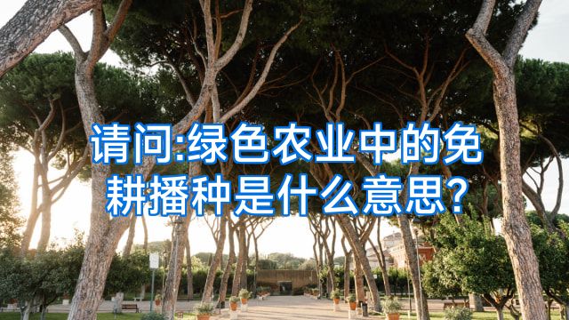请问:绿色农业中的免耕播种是什么意思?