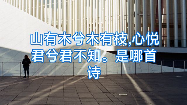 山有木兮木有枝,心悦君兮君不知。是哪首诗