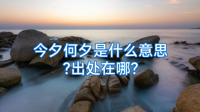 今夕何夕是什么意思?出处在哪?