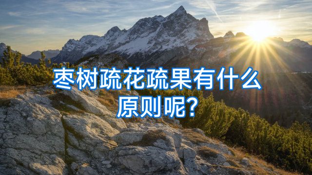 枣树疏花疏果有什么原则呢?