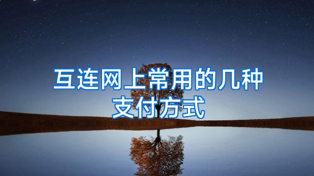 互连网上常用的几种支付方式
