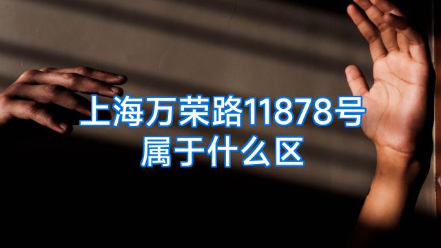 上海万荣路11878号属于什么区