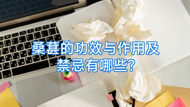 桑葚的功效与作用及禁忌有哪些?