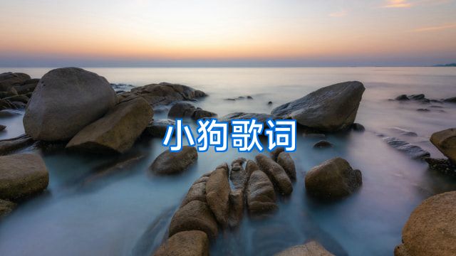小狗歌词