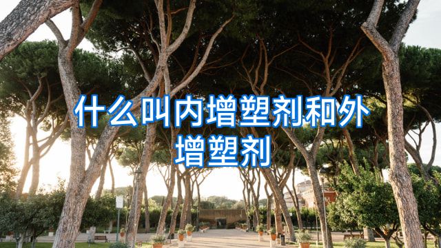 什么叫内增塑剂和外增塑剂