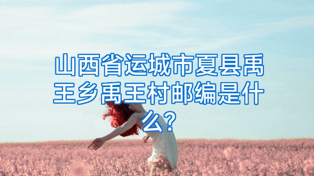 山西省运城市夏县禹王乡禹王村邮编是什么?