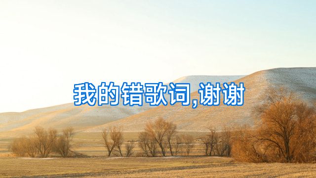 我的错歌词,谢谢