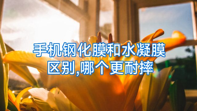手机钢化膜和水凝膜区别,哪个更耐摔