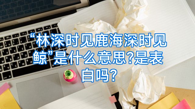 “林深时见鹿海深时见鲸”是什么意思?是表白吗?