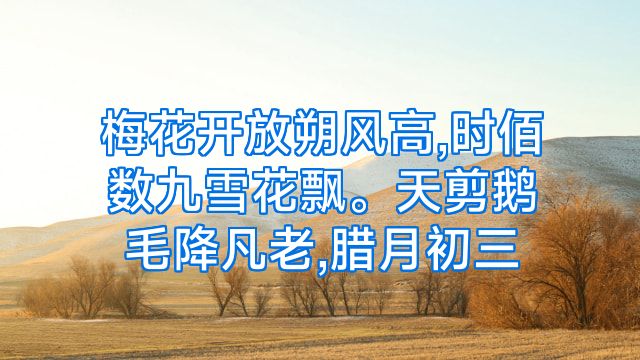 梅花开放朔风高,时佰数九雪花飘。天剪鹅毛降凡老,腊月初三